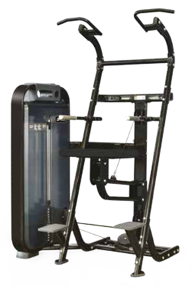 DIESEL ASSISTED CHIN / DIP - V 517